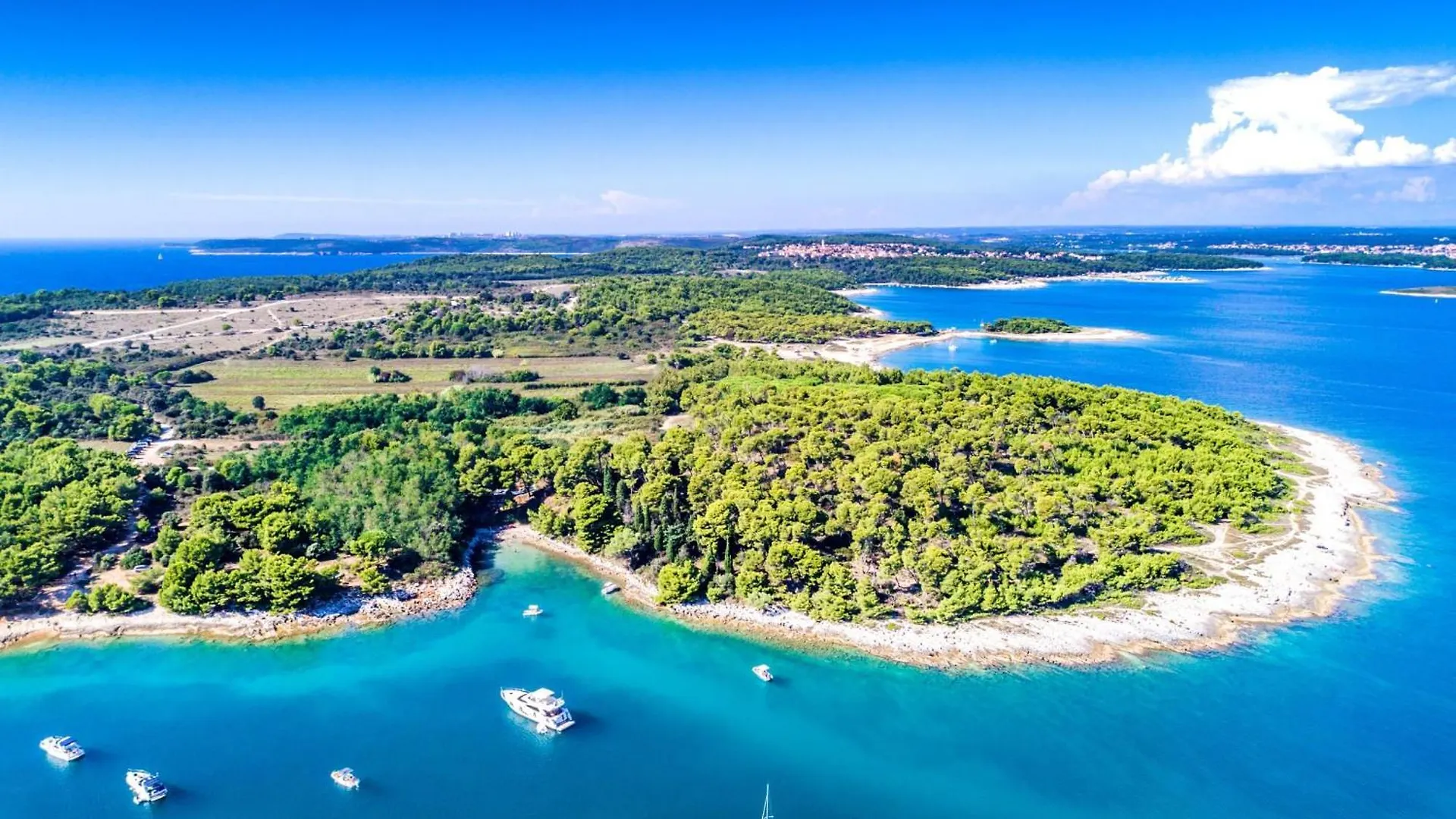 Apartment Villa Menta Piperita - Happy Rentals Muntic Croatia